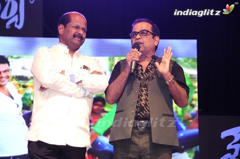 'Shourya' Audio Launch (Set-1)