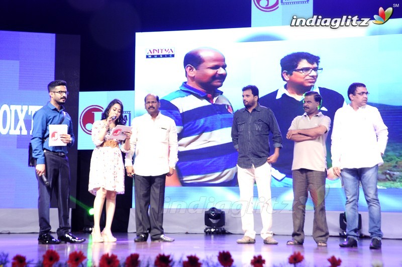 'Shourya' Audio Launch (Set-1)