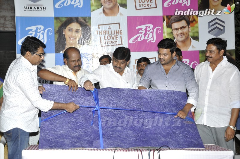 'Shourya' First Look Launch