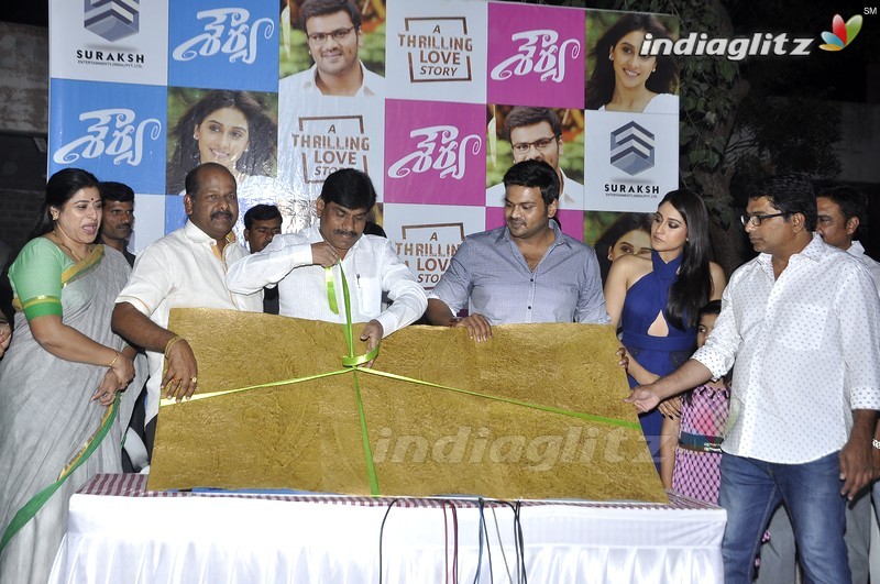 'Shourya' First Look Launch