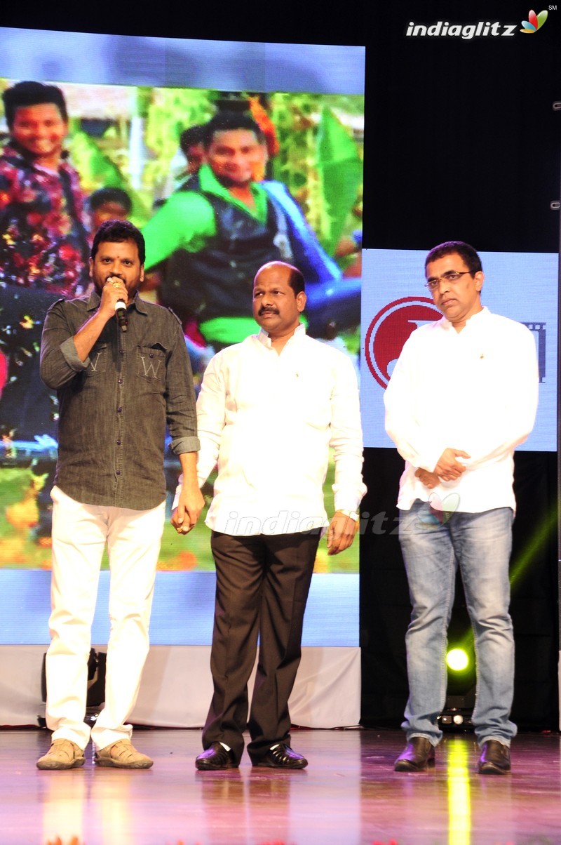 'Shourya' Audio Launch (Set-2)