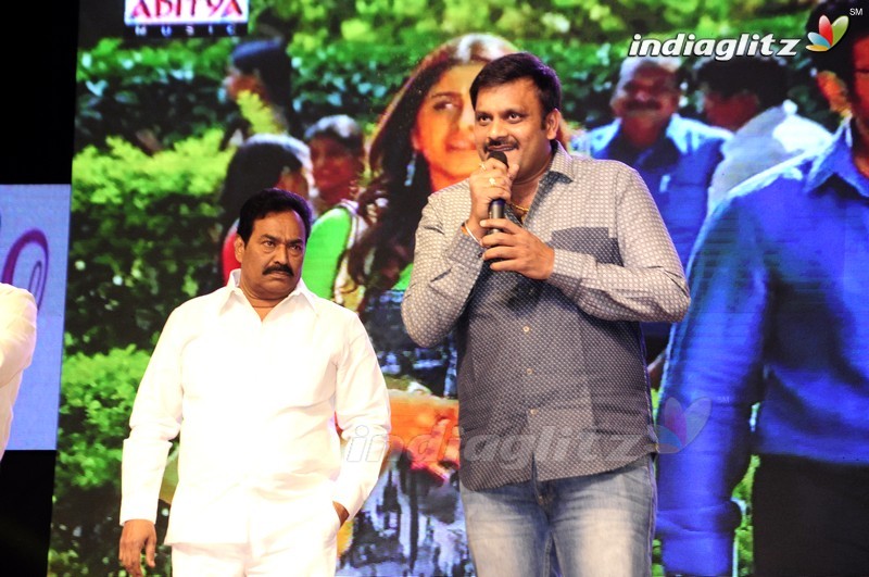 'Shourya' Audio Launch (Set-2)