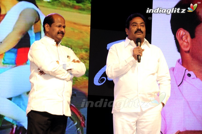 'Shourya' Audio Launch (Set-2)