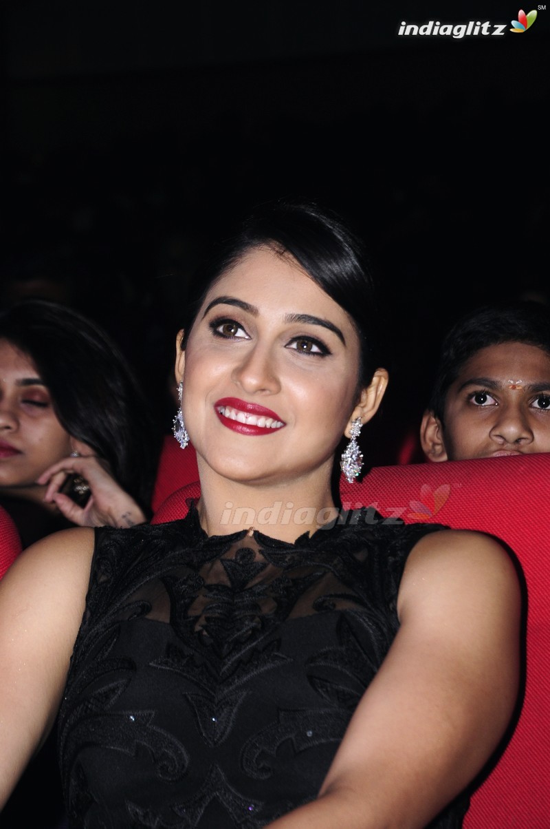 'Shourya' Audio Launch (Set-2)