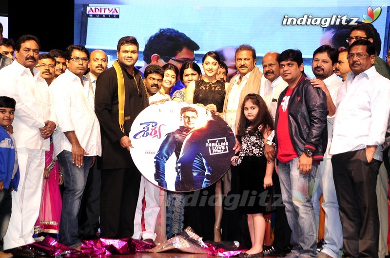 'Shourya' Audio Launch (Set-2)