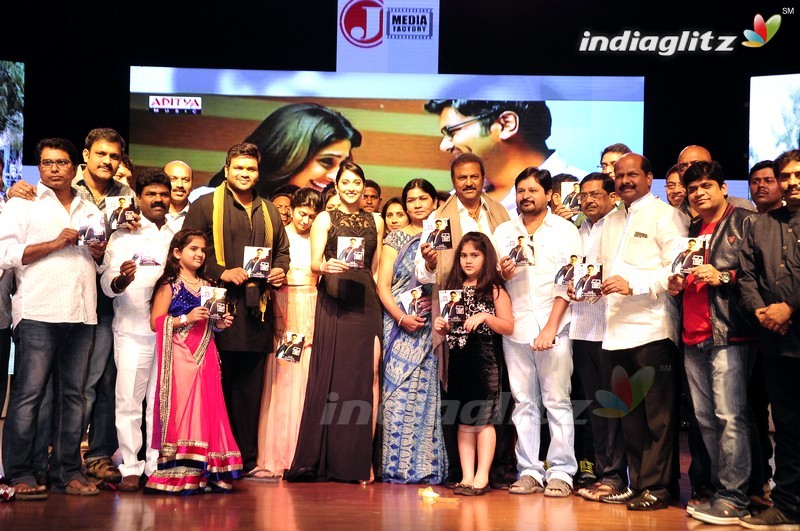 'Shourya' Audio Launch (Set-2)