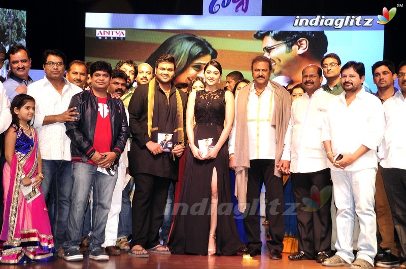 'Shourya' Audio Launch (Set-2)