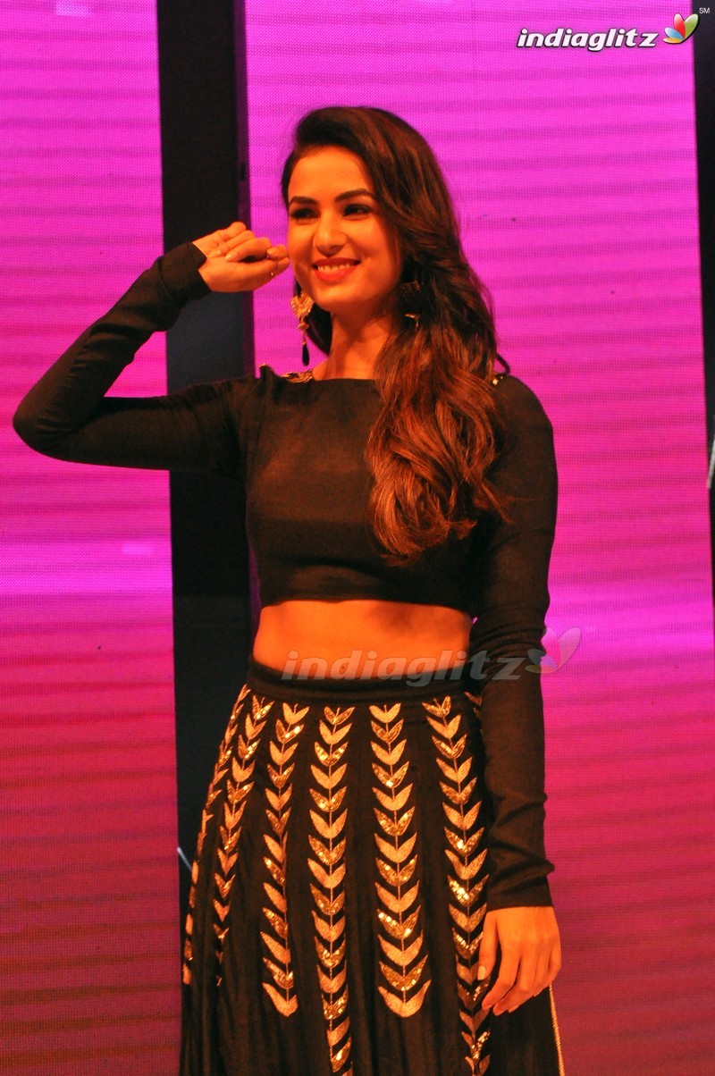 'Size Zero' Audio Launch (Set-1)