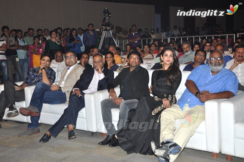 'Size Zero' Audio Launch (Set-2)