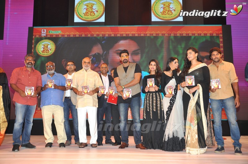 'Size Zero' Audio Launch (Set-2)