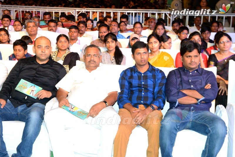 'Soukyam' Audio Launch (Set-1)