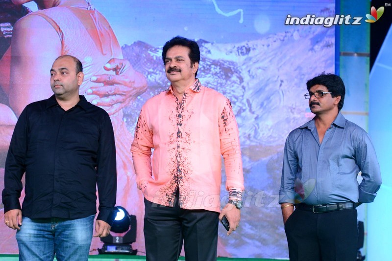 'Soukyam' Audio Launch (Set-1)