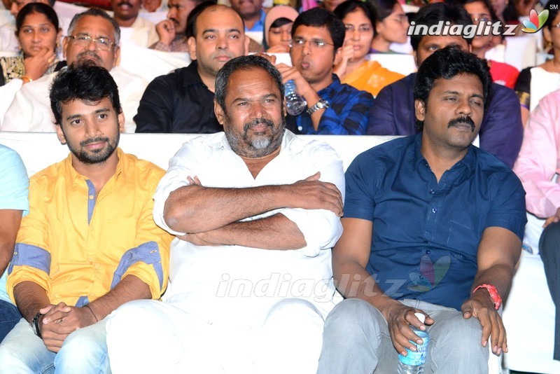 'Soukyam' Audio Launch (Set-1)