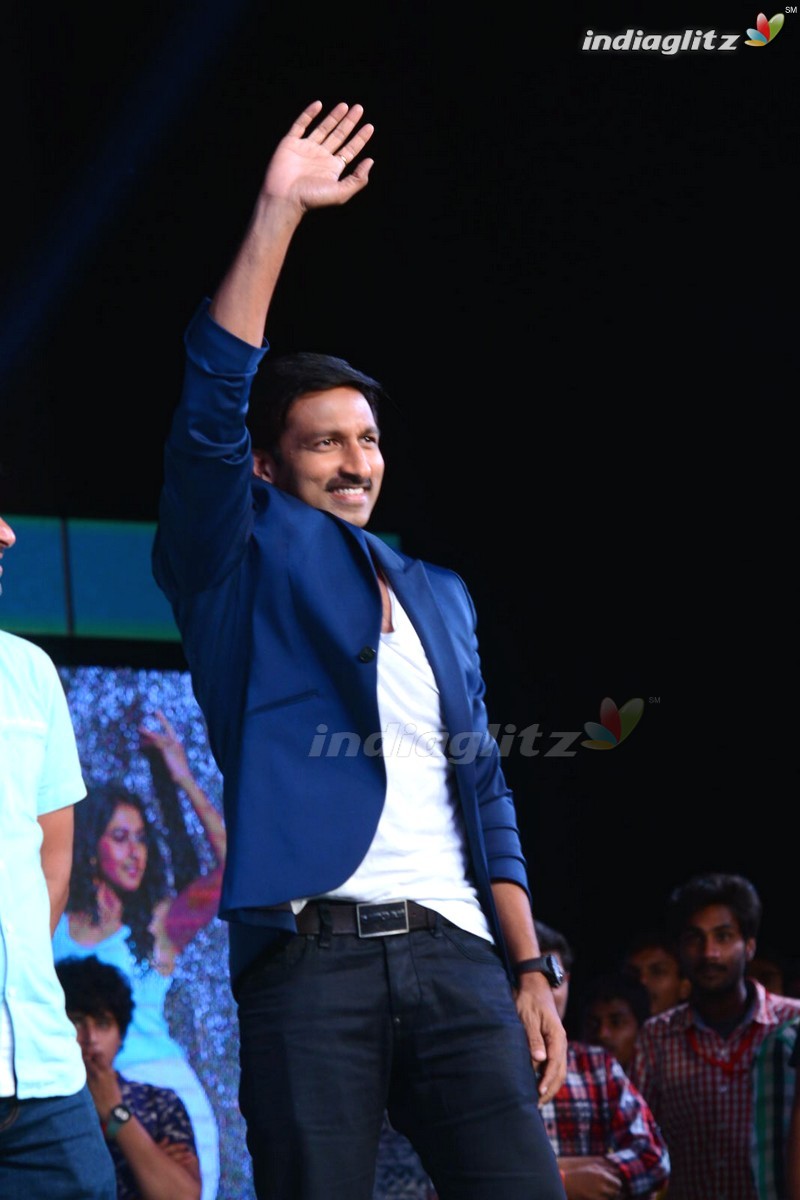 'Soukyam' Audio Launch (Set-1)