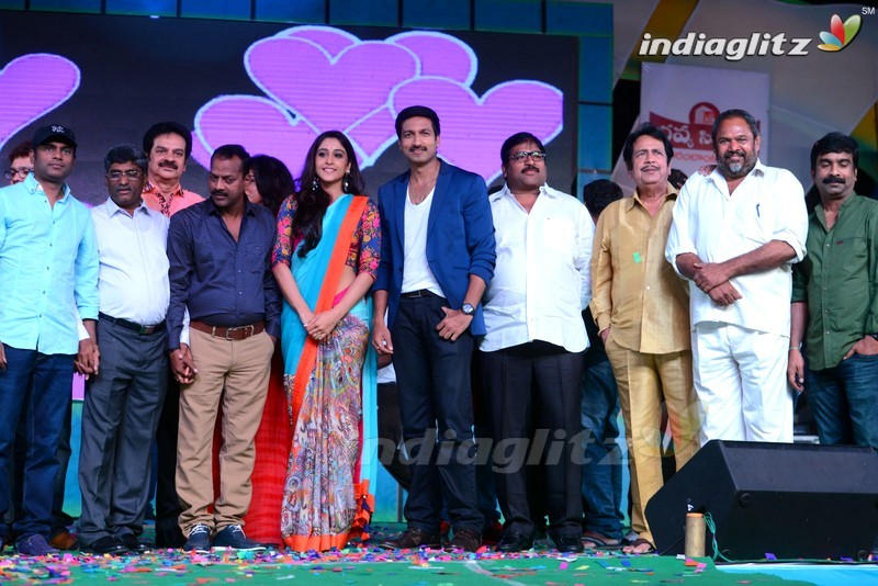 'Soukyam' Audio Launch (Set-1)