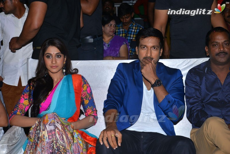 'Soukyam' Audio Launch (Set-1)