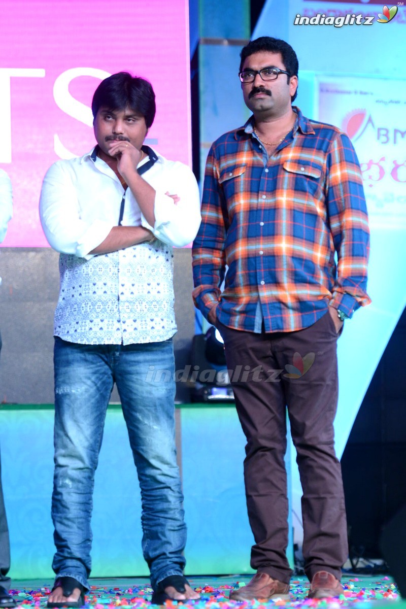 'Soukyam' Audio Launch (Set-2)