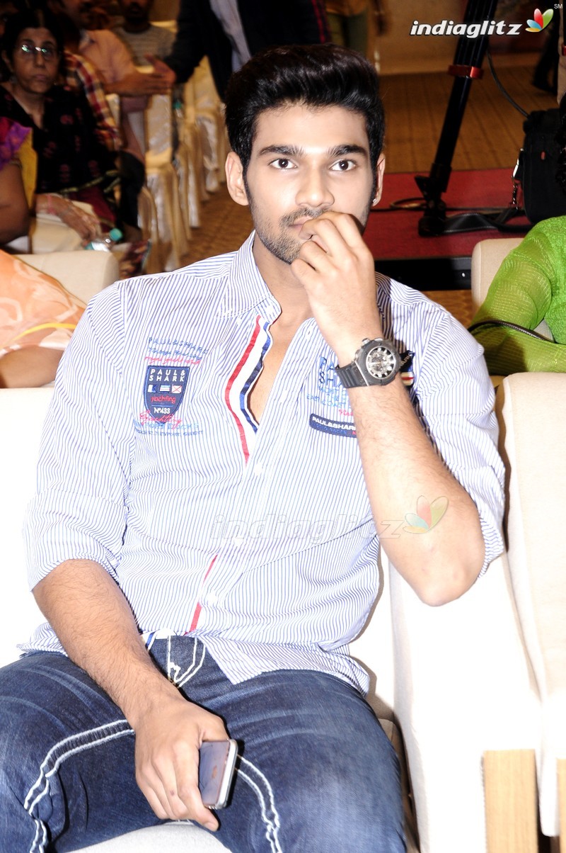 'Speedunnodu' Platinum Disc (Set-1)