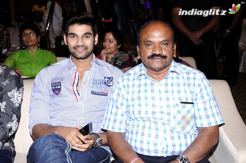 'Speedunnodu' Platinum Disc (Set-2)