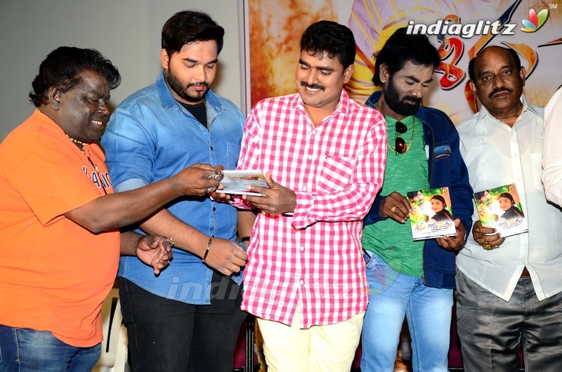 'Seenugadi Prema' Audio Launch