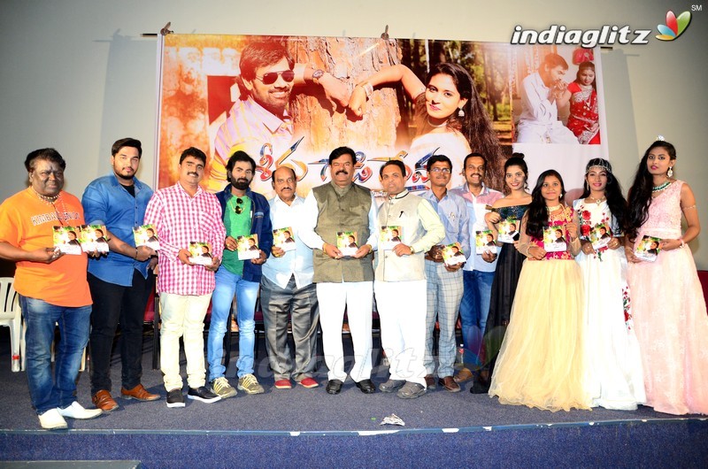 'Seenugadi Prema' Audio Launch