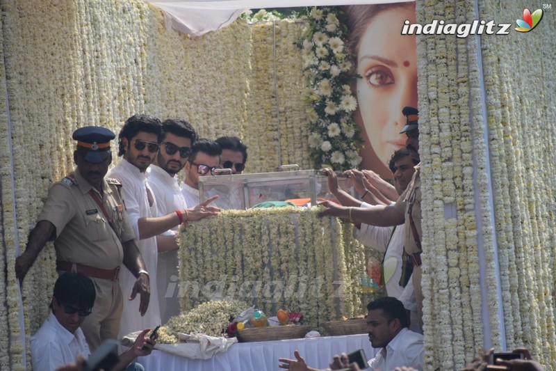 Sridevi's Final Journey