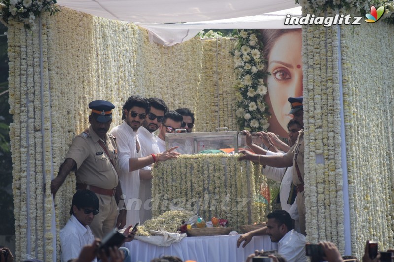 Sridevi's Final Journey