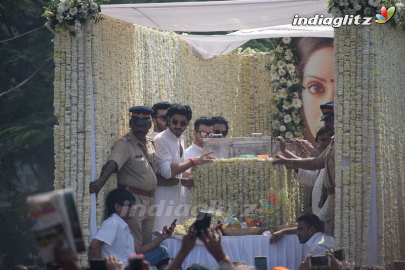 Sridevi's Final Journey