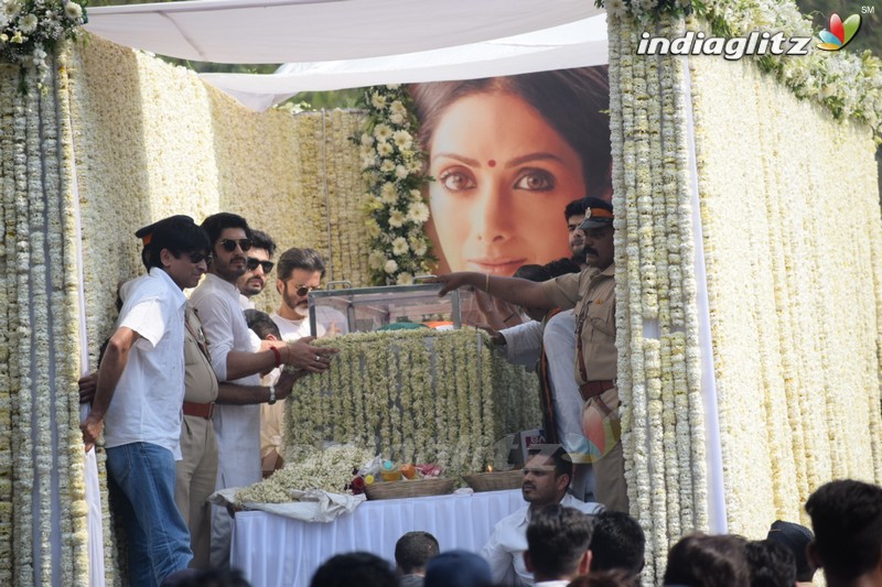 Sridevi's Final Journey