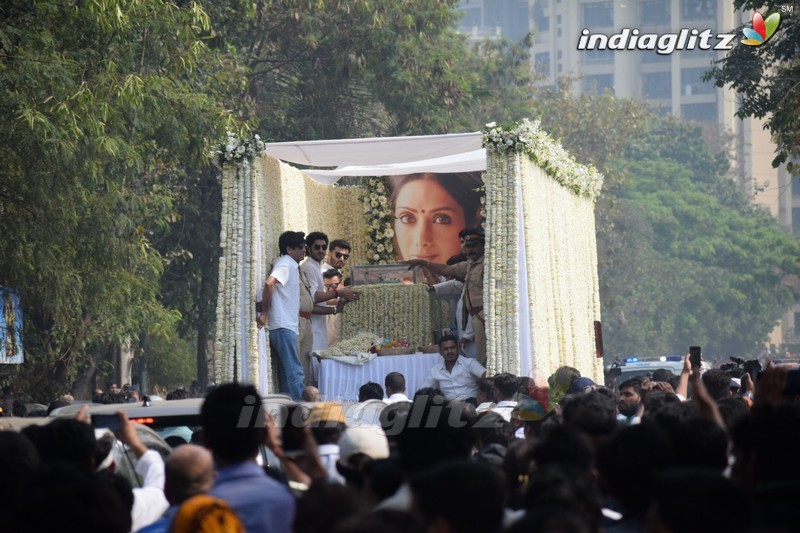 Sridevi's Final Journey