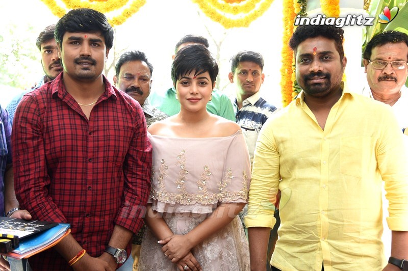 Sri Krishna Creations Production no 1 Movie Opening