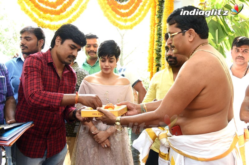 Sri Krishna Creations Production no 1 Movie Opening