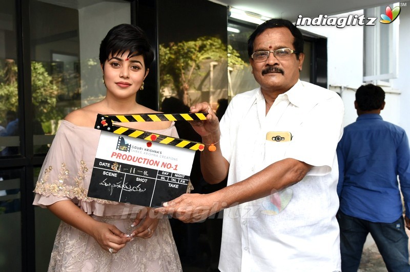 Sri Krishna Creations Production no 1 Movie Opening