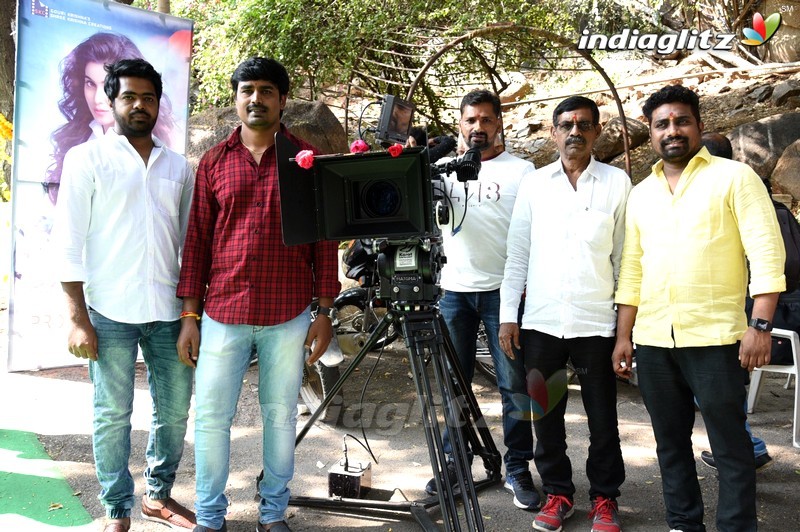 Sri Krishna Creations Production no 1 Movie Opening