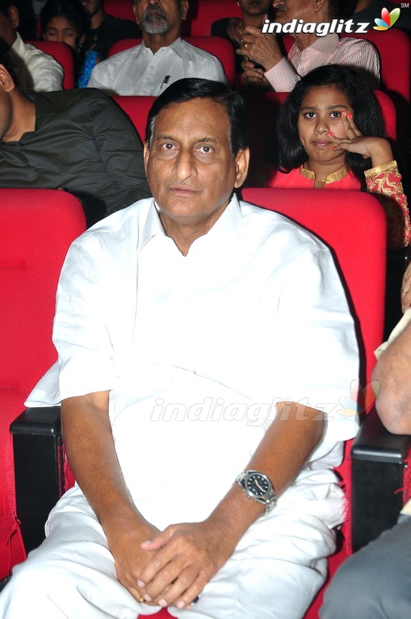 'Srimanthudu' Audio Launch Set-1