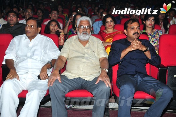 'Srimanthudu' Audio Launch Set-1