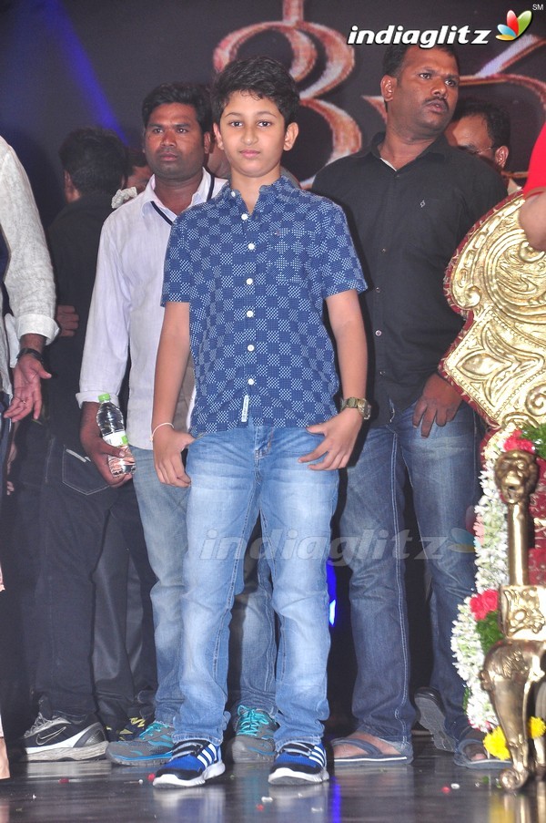 'Srimanthudu' Audio Launch Set-1