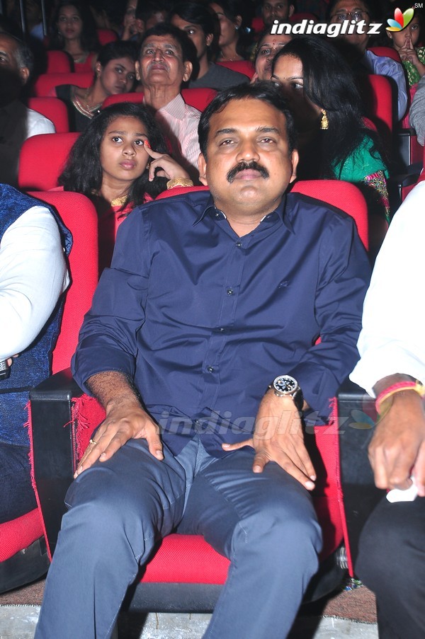 'Srimanthudu' Audio Launch Set-1