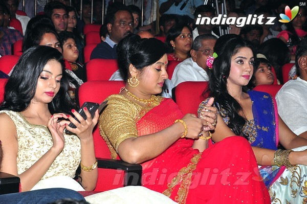 'Srimanthudu' Audio Launch Set-2