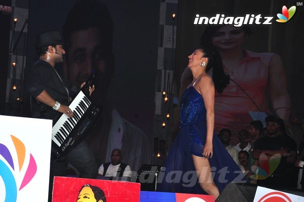 'Srimanthudu' Audio Launch Set-2