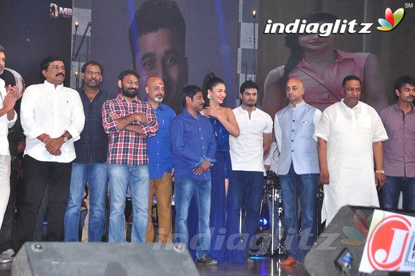 'Srimanthudu' Audio Launch Set-2