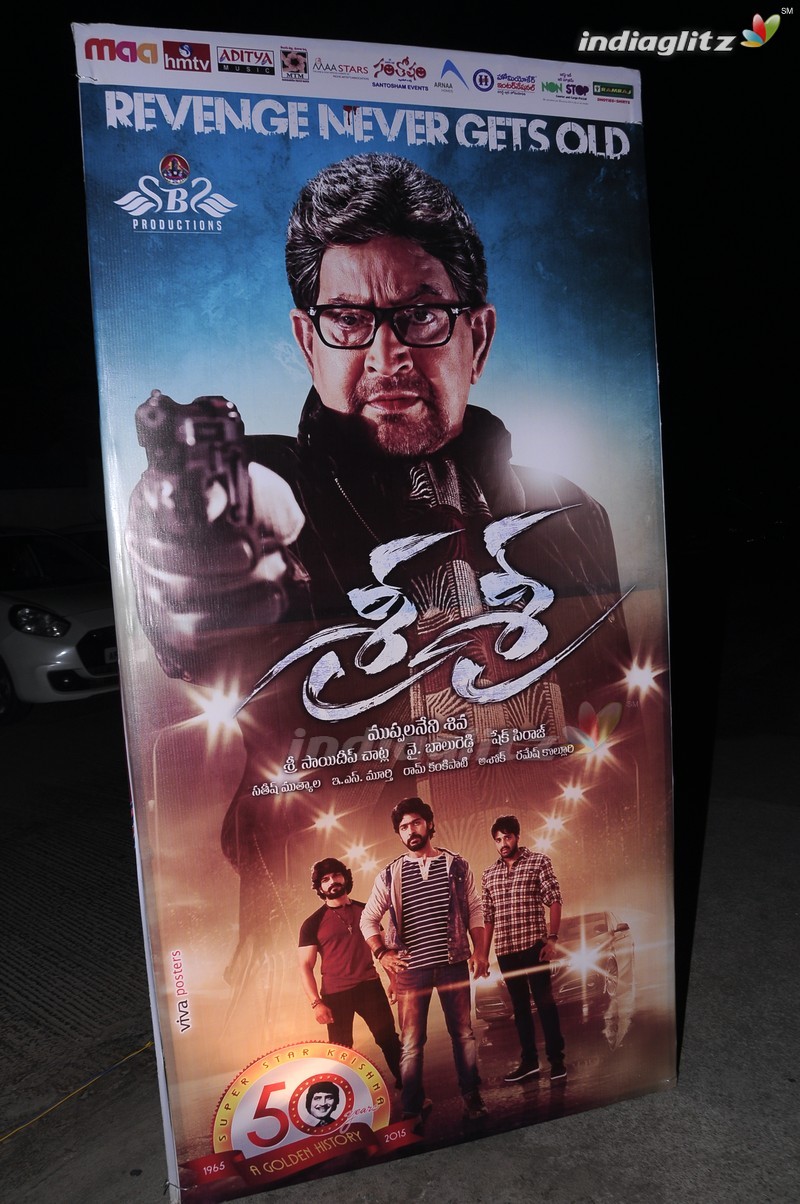 'Sri Sri' Audio Launch (Set-1)