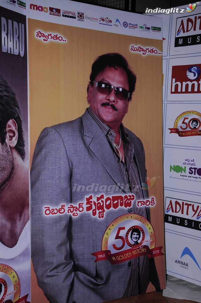 'Sri Sri' Audio Launch (Set-1)