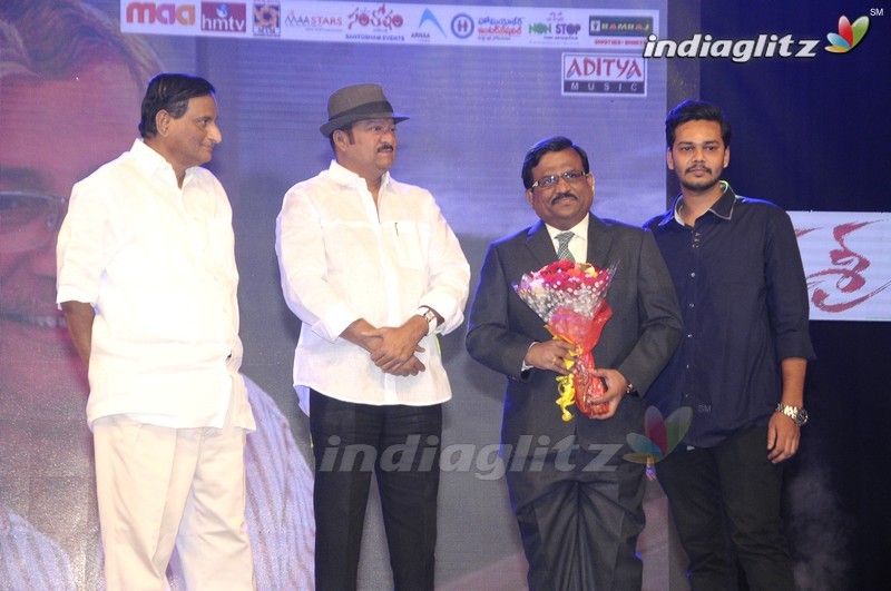 'Sri Sri' Audio Launch (Set-1)