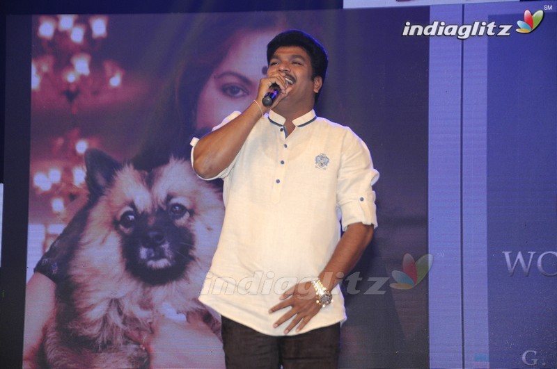 'Sri Sri' Audio Launch (Set-1)