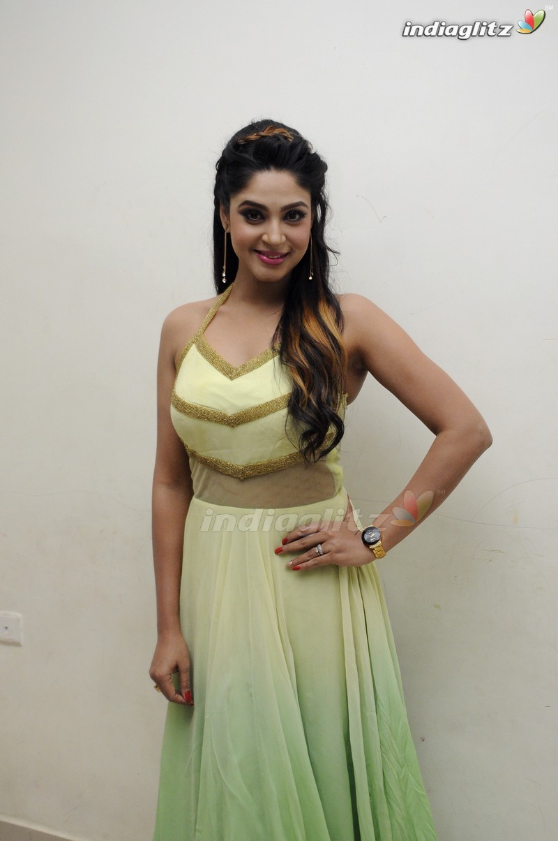 'Sri Sri' Audio Launch (Set-1)