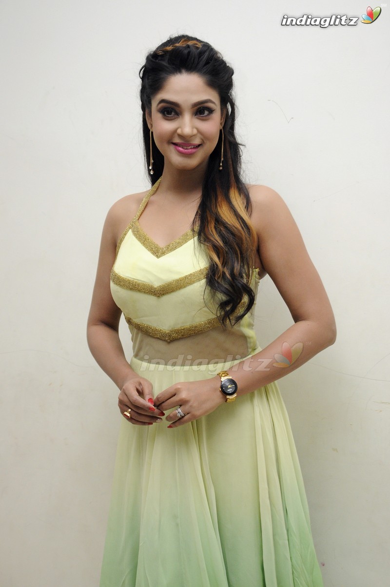 'Sri Sri' Audio Launch (Set-1)