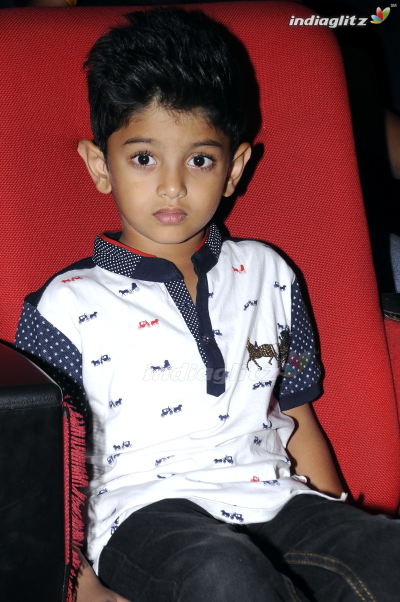 'Sri Sri' Audio Launch (Set-1)