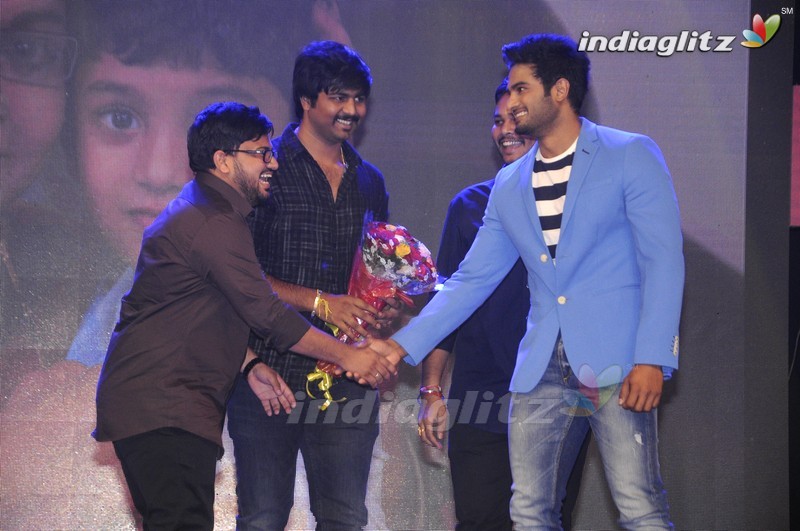 'Sri Sri' Audio Launch (Set-1)