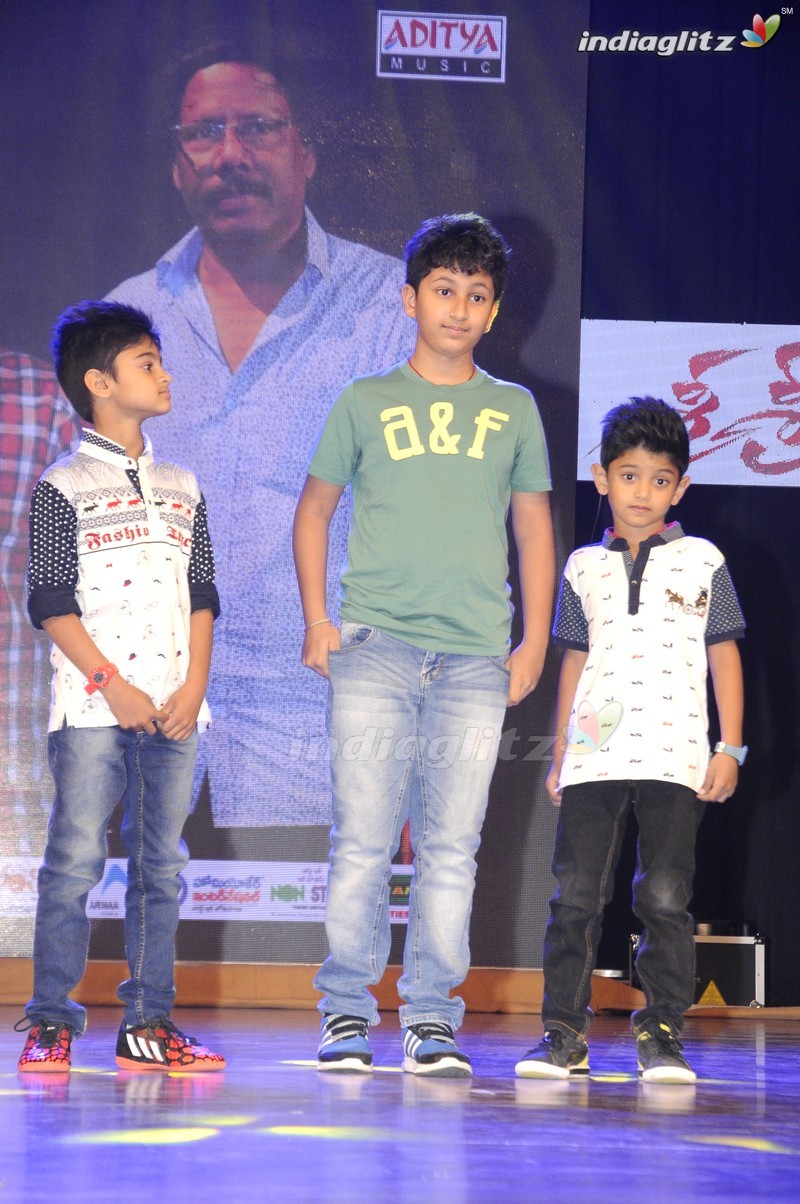 'Sri Sri' Audio Launch (Set-1)